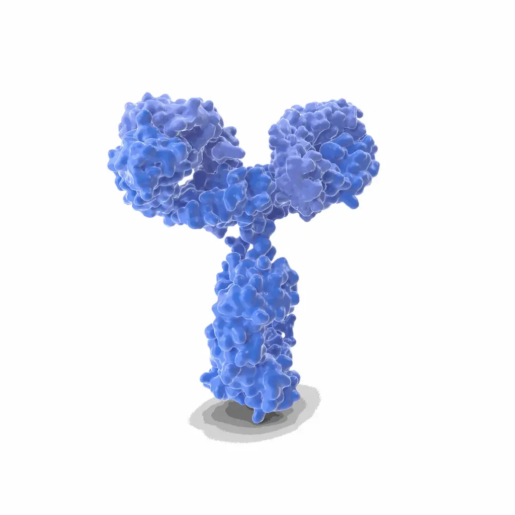 Gentaur Rat (11.23.22r) APC Mab Antibody
