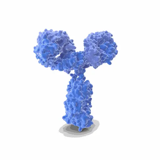 [GEN-ANTI-12] Gentaur CY 7 Antibody